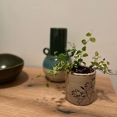 Guest Radic 2 * Palić