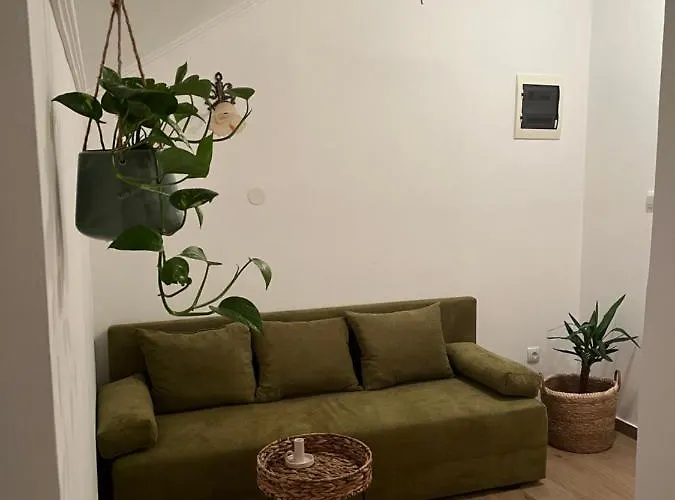 Guest Radic 2 Palić