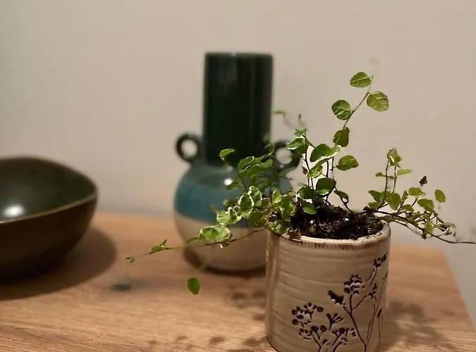 Guest Radic 2 * Palić